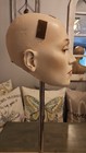 Adel Rootstein Susanna Linsmayer G-1 Head Mannequin Vintage Calendar Girls