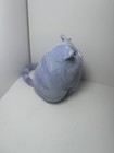 The Secret Life Of Pets Chloe The Cat 9  Plush Stuffed Animal Toy By Toy Factory