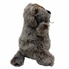 Webkinz Groundhog Hm179 Plush Stuffed Toy Sealed Code Tag Animal Ganz