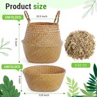 Large Wicker Plant Basket With Handle 10 Inch Woven Seagrass Belly Basket And   