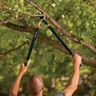 Fiskars 3pc Tree   Shrub Care Set  Rust-resistant Steel  Lopper  Hedge Shear 