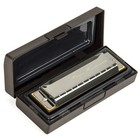 10 Hole Key Blues Harmonica French Harp Mouth Organ Phosphor Bronze Reeds Toy