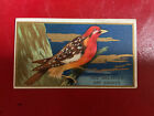 1910 Mecca   Sweet Caporal Bird Series Tobacco Cigarettes    You Pick  