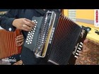 Hohner 3100fb  Panther  Diatonic Accordion