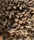 20lb Whole Raw Dried Cacao Beans  Fino De Aroma-arriba  From Balzar  Ecuador 