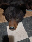 Black Bear Pelt 5ft 