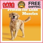 Pedigree High Protein Adult Dry Dog Food  Beef And Lamb Flavor  44 Lb  Bag