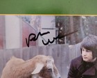 Beach Boys  The Pet Sounds Symphonic Tour Program   Autographed  16 Pgs  Vg Cond