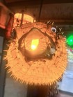 New 12    Real Pufferfish Lamp W   Yellow Led Tiki Bar Oceanic Second