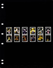  13 30 Scott Value - 2007 Papua New Guinea Orchids Flowers Cv Mnh Nh Umm