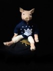 Haunted Doll Vessels Demonic Demon Mimic Mr  Piggles Your New Bff