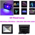 20w 30w 50w 100w Uv Glue Curing Lamp 365nm 395nm 450nm High Power Led Floodlight