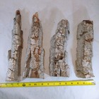  Cottonwood Bark Wood Carving 4pcs  B2