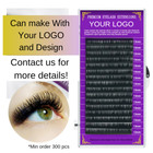 Nagaraku Individual Eyelash Extension Classic Matte Black Soft False Lashes D C