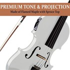 Acoustic Electric Violin 4 4 Full Size Beginner Professional Pearl White Cecilio