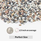Yiszm 2lb Succulent And Cactus Gravel Pebbles  1 5 Inch 2 Pounds  Mixed 