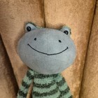 Jellycat Soft Toy Frederick Frog  Plush Cuddly Teddy Stuffed Animal 43cm 16 