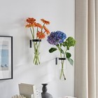 2 Piece Hanging Glass Wall Vase Set  Iron Metal Plant Stand With Style 005