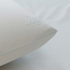 Sealy Dreamtouch Medium Support Pillow Jumbo White Standard queen 20x28 
