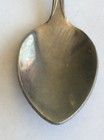 Vintage Souvenir Spoon Collectible Bermuda