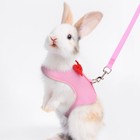 Adjustable Harness   Lead Set For Ferret Rabbit Guinea Pig Small Animal