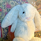 Jellycat London Bashful Bunny Rabbit Cream Off White Soft Cute Plush Medium 12   