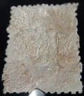 Tasmania Scott   34  Mint Original Gum  hr 