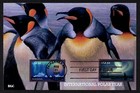 Usa Scott   4123  Rare Set 3 Bgc Photo Fdc Covers 2007 International Polar Year