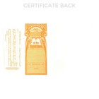 New Goes 194-1 2 Capital Stock Certificate Size 8-1 2  Tall X 15  Wide