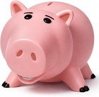 Hamm Piggy Bank Cute Pink Pig Money Box Plastic Saving Coin Box With Color Pa   