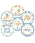 Boy Baby   s First Year Belly Stickers For Months1-12 Plus 8 Milestone Stickers