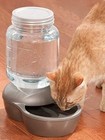Petmate Mason Replendish Gravity Waterer  1-gallon Auto Pet Water Dispenser Cat 