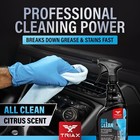 Triax All-clean Professional Grade  Multi-purpose  Non-toxic Cleaner  1 Gallon 