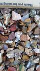 3  Pounds Of Tumbling Rough Includes  Rocks For Tumbling Mixed Agate s  Jasper s