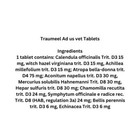 Traumeel T Homeopathic 100 Tablets   For  Dogs Cats   Ships Us
