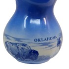 2 Pc Vtg Min  Oklahoma Souvenir Pitcher And Plate Buffalo Will Rogers Cowboy