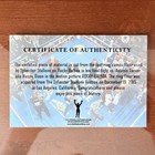 Authentic Piece Of Ring Canvas Used By Sylvester Stallone In Rocky Balboa W  Coa