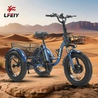 500w48v15ah E   tricycle Wide Fat Tire Lithium Battery Three   wheel Electric Bike
