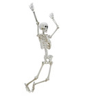 5ft Poseable Led Illuminated Skeleton  Halloween Decoration  By Way To Celebrate