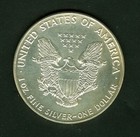 1992 Silver American Eagle Coin One Dollar 1 Troy Oz  999 Fine Bu White