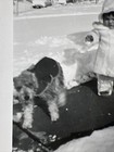 Vintage 1959 Baby Toddler In Snow W Dogs In Jackets Snapshot Photo