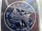 2026 Canada Maple Leaf Orca 5 Dollars 1 Oz Silver Colorized Coin -
