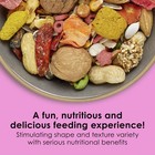 Kaytee Fiesta Big Bites Macaw Food  Nutritious And Fun Blend  Supports Skin 