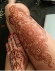 24 Natural Kaveri Temporary Tattoo Mehandi Herbal Henna Cones Body Art Kit
