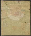 Colombia Telegraph Stamp Temprano  45a Vf Mint Hinged Og Issued 