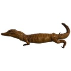 Vintage 1920   s Baby Alligator Taxidermy Full Body 15     Made In Colombia 