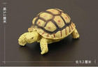 Sulcata Tortoise Statue - Stigmochelys Pardalis Leopard Terrapin Figurine Turtle