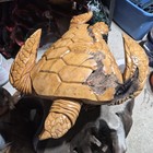 X-large Heavy Teak Wooden Carved Sea Turtle Sculpture