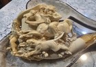 Antique Meerschaum Pipe American Native American Indian Lion Hunt Scene New 11 