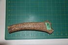 Xlarge Upper Elk Antler Dog Chew  67   Bone Chews Moose Treats Deer 305
